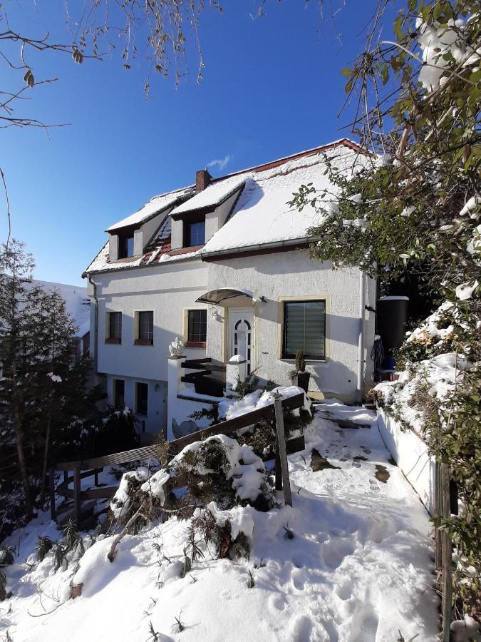 Meißen Ferienhaus Elbsommer Am Weinberg II מראה חיצוני תמונה